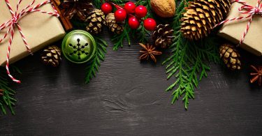Holiday Gift Guide