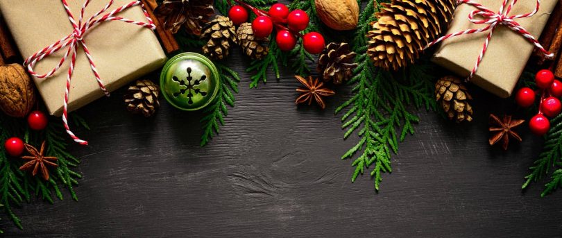 Holiday Gift Guide