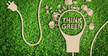 How to Go Green and Save Money