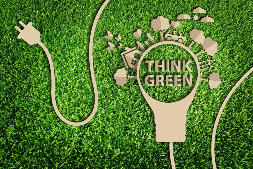 How to Go Green and Save Money