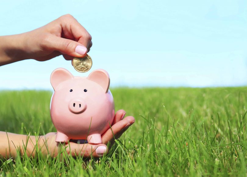 piggy bank being held in a green lawn